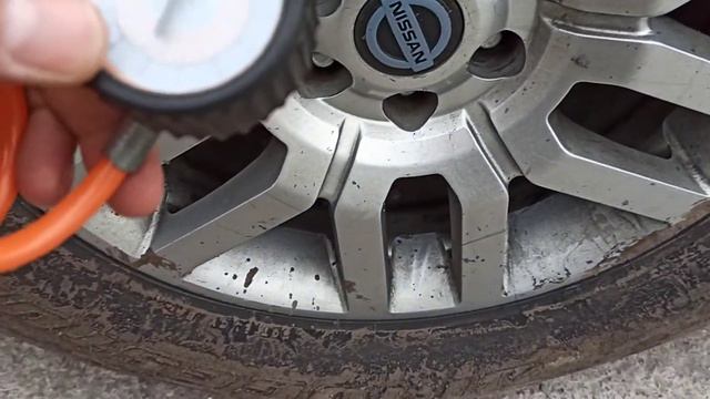 Berkut R20 vs AVS KS900 смотреть онлайн
