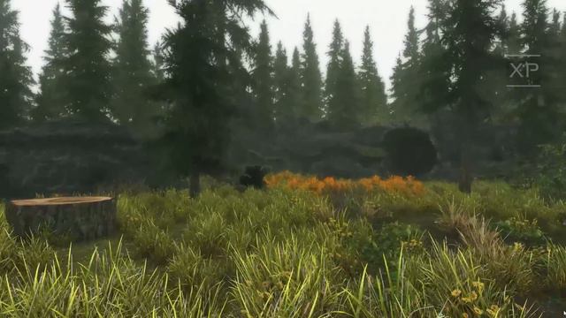 Skyrim -The Legend of Zelda Project Lost Woods - Teaser Trailer смотреть онлайн