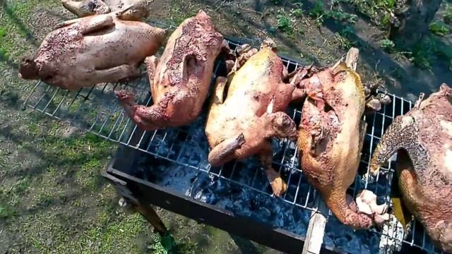 Дикие утки горячего копчения!!! смотреть онлайн