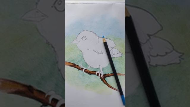 Видео урок ИЗО. Птичка. смотреть онлайн