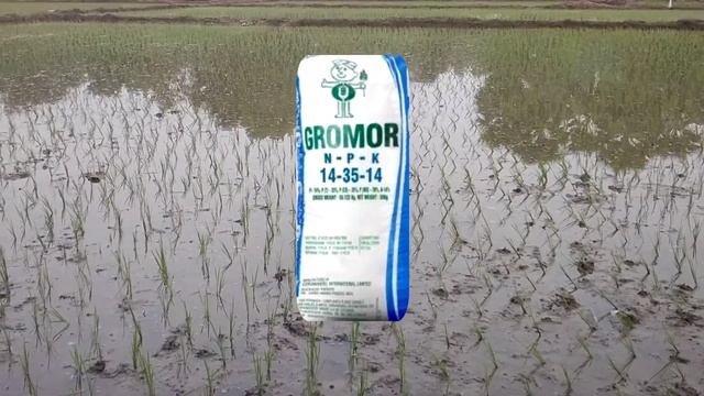 14-35-14 fertilizer full details in Telugu | by hmr TELUGU AGRICULTURE смотреть онлайн