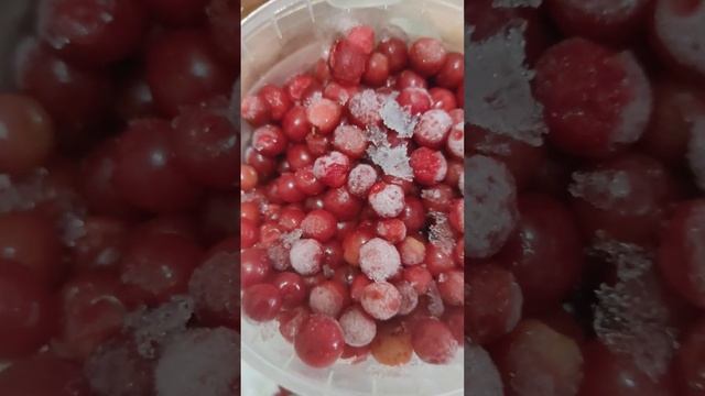 Замороженная прошлогодний дачная войлочная вишня смотреть онлайн