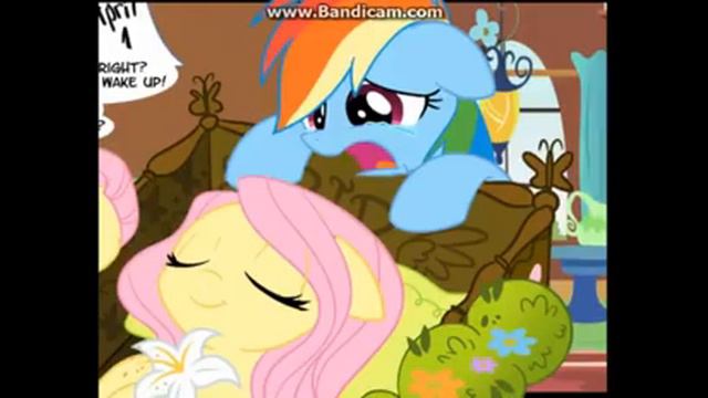 Rainbow Dash и Fluttershy смотреть онлайн