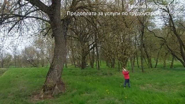 Как устроится на работу в Европе | Работа в Польше сколько это стоит смотреть онлайн
