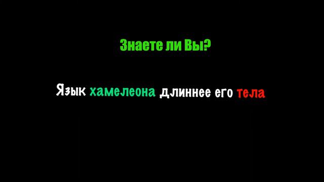 Знаете ли Вы? #50 смотреть онлайн