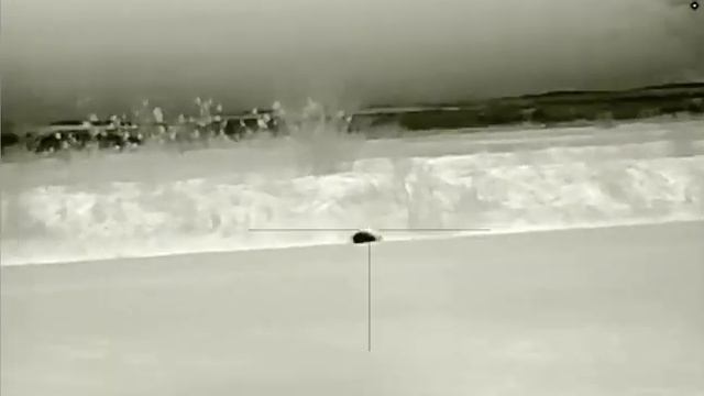 Охота на шакала. Дистанция 140м. Прицел iRay Rico RL42 смотреть онлайн