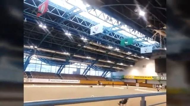 Я знаю тебя на 110% конный спорт 💕🐴❤ Обновлённая версия) смотреть онлайн