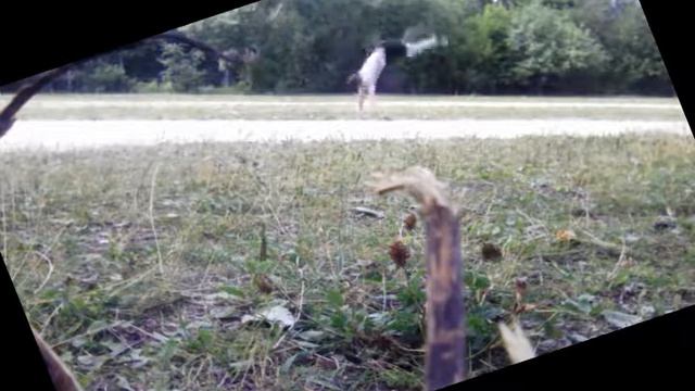 Рондат + 6 фляков смотреть онлайн