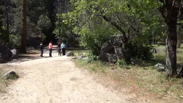 YOSEMITE / El Capitan / USA смотреть онлайн