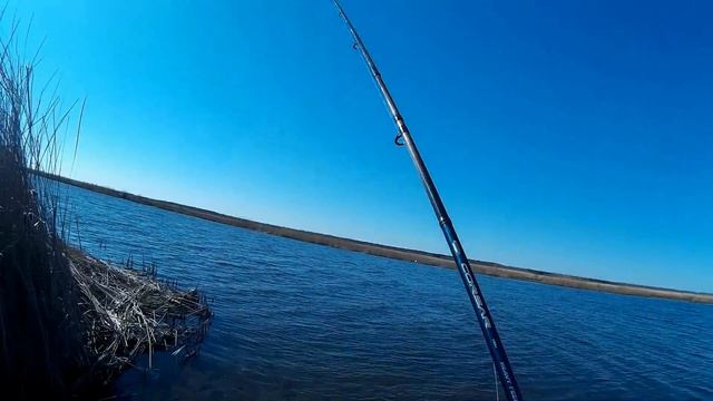 Ловля на фидер весной на реке смотреть онлайн