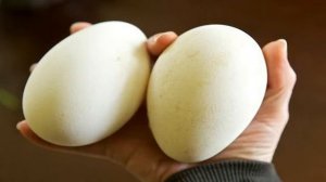 ПОЧЕМУ ТАК БОЛЬНО ПРИ УДАРЕ В ПАХ