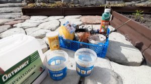 Дорожки между грядок из бетона своими руками