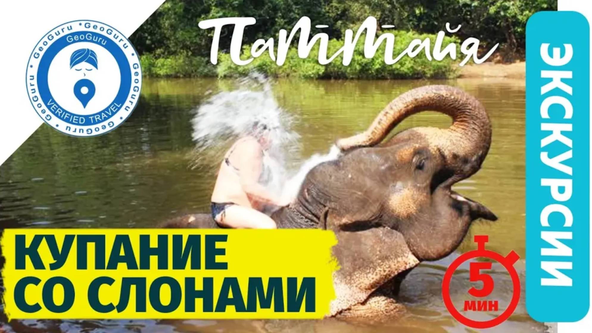 Заповедник слонов в Паттайе смотреть онлайн