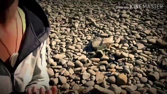 Готовим САЛАТ из морской капусты "ГИДРЫ" . Утриш - отдых дикарями. #утриш #салат #салаты смотреть онлайн