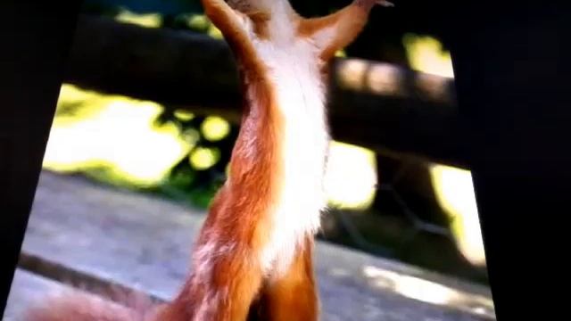 Вся жизнь игра. смотреть онлайн