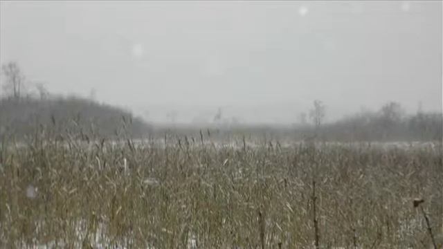 Иеромонах Роман. «А первый снег, а первый снег потает...» смотреть онлайн