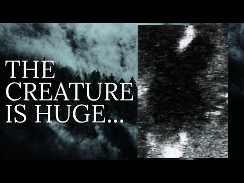 Mysterious Figure Caught On Camera