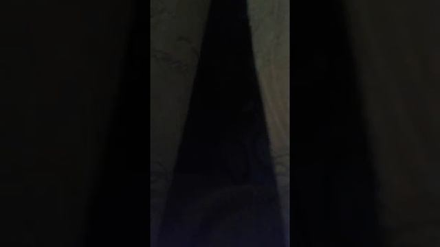 Мой зверек Соня 1 часть смотреть онлайн