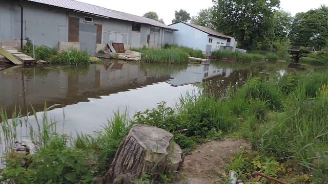 Приморск Fischhausen По берегу реки Приморская Калининградская область смотреть онлайн