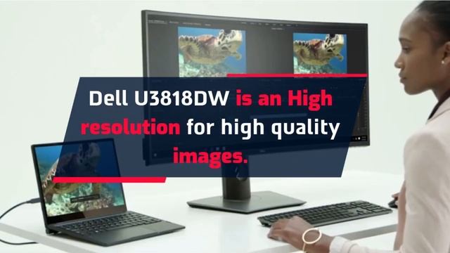 Best Dell Monitor – Reviews & Buying Guide смотреть онлайн