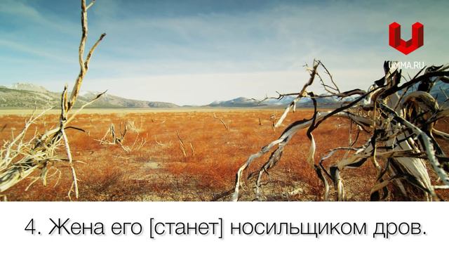 111 «аль-Масэд» (Пальмовые волокна) смотреть онлайн