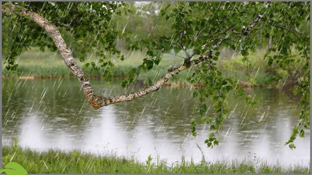«Звуки природы»