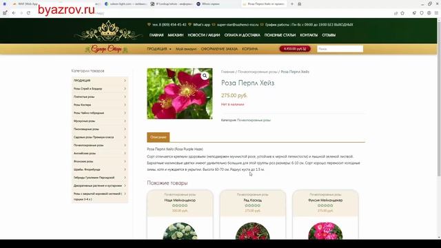 Разработка Интернет-Магазина Для Питомника Роз смотреть онлайн