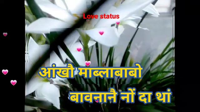 🥰🥀⚘ New bodo Whatsapp status video || Romantic 🎆 M.B vlog My 2nd vlog channel link description смотреть онлайн