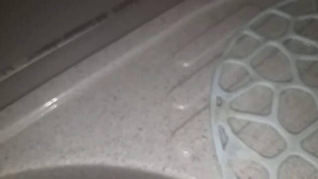 Средство от клапов и тараканов смотреть онлайн