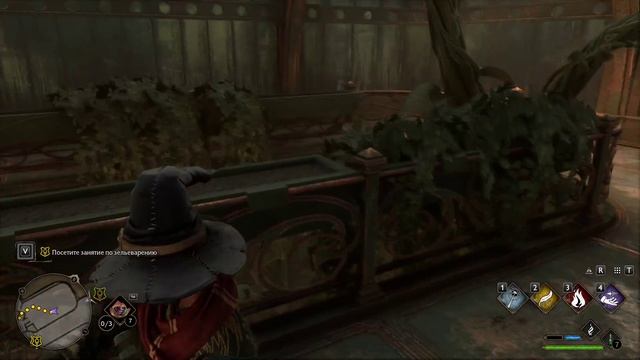 Hogwarts Legacy #4 чайное прохождение