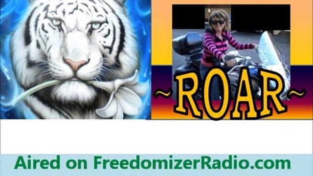 TLGzz - FreedomizerRadio.com ARCHIVE 0001 - 1st Bad Cop Encounter смотреть онлайн