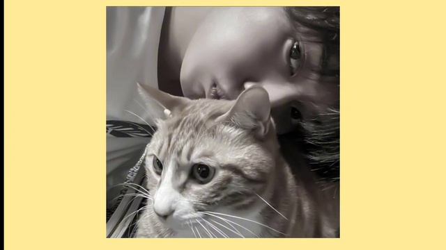 Miréle-скинь котиков (speed up+ текст) смотреть онлайн