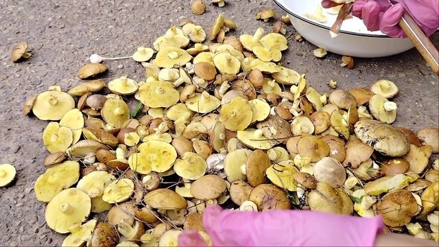 Картошка с грибами по - деревенски! Или как правильно почистить грибы? смотреть онлайн