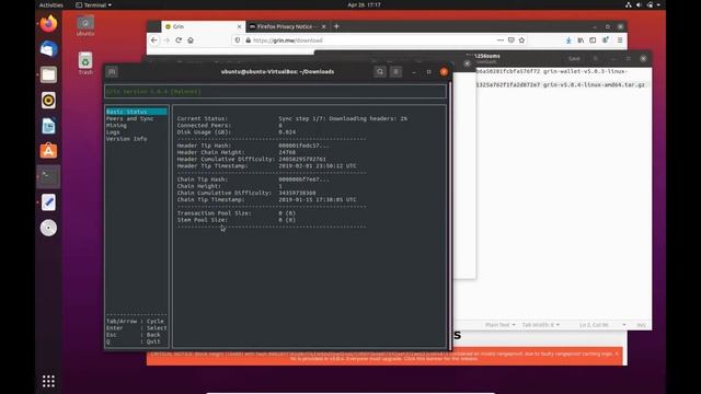 GRIN Full node and Wallet Installation Linux смотреть онлайн