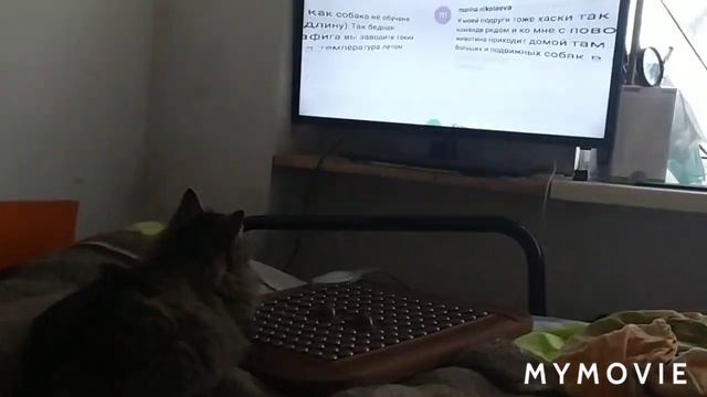 . И такое, бывает??? смотреть онлайн
