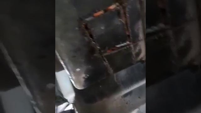Видео,приколы,юмор,смех смотреть онлайн