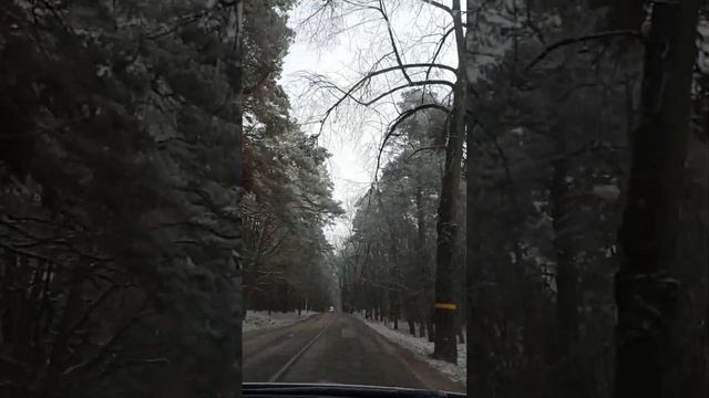 #-10°# а ещё только осень🍁# самый западный регион России# Калининградская обл🖐 🇱🇮# ноябрь#2023 смотреть онлайн