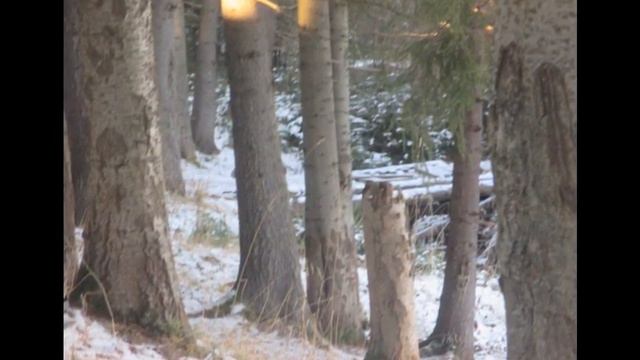 Снежный парк - Автор текста Вадим Глузман Автор музыки Гарри исполнитель Александр ГамИ смотреть онлайн