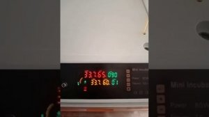 китайский инкубатор умница- его температура