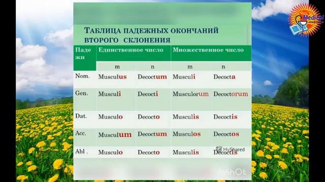 Клара Эшмуратова Имя существительное Лвтынский язык смотреть онлайн