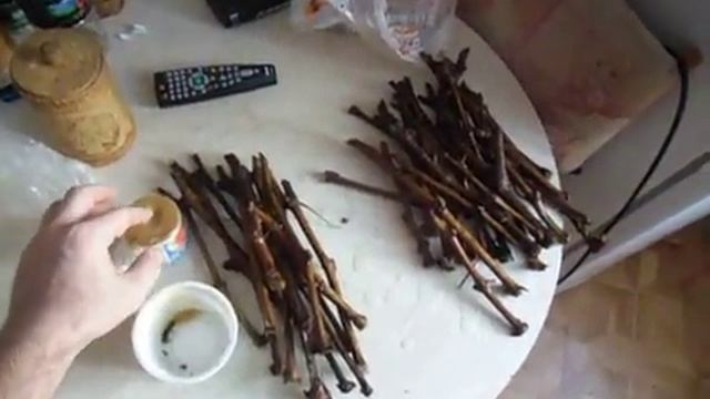 Обработка макушки садовым варом. смотреть онлайн