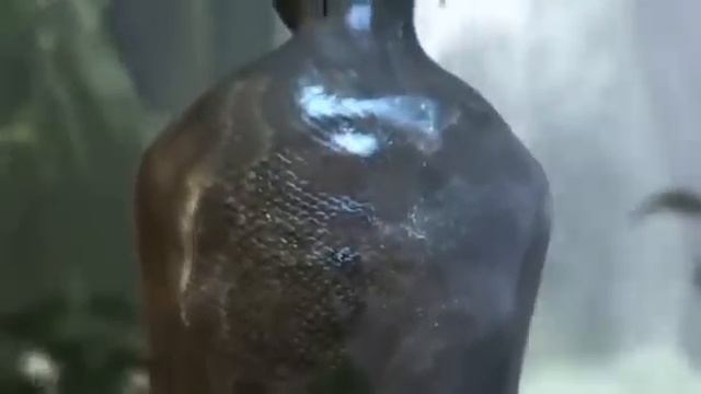 Gryf Transformation Woman Into Snake смотреть онлайн