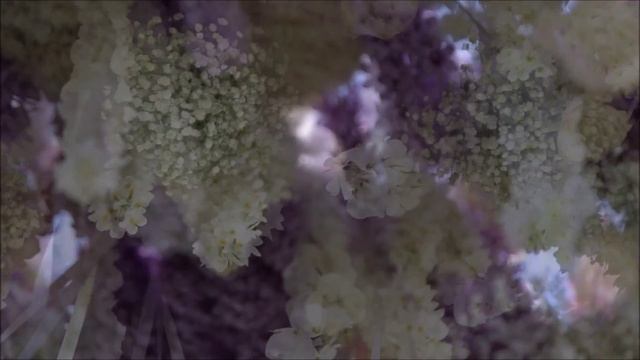 Cha’ak’ab Kanorhati (Mexican Russian Project) Veles (Велес) смотреть онлайн