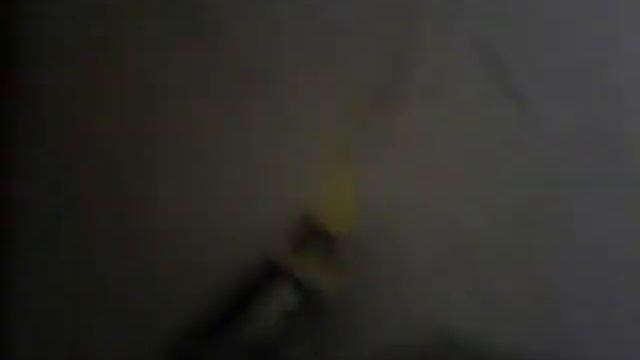 Испуганный попугай смотреть онлайн