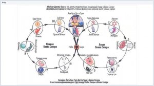 01 06 2019 Очищаем войд 11 глава Деви Махатмьям