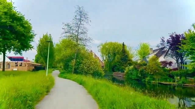 Не все так к людям относятся! Он дал собаке обещание. История из жизни.