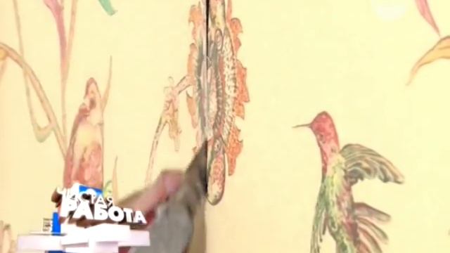 Ами Ковры - ковры Genova 38172-6262-60 и Nature Chakri/Glued-Ivory Brown в программе Чистая работа смотреть онлайн