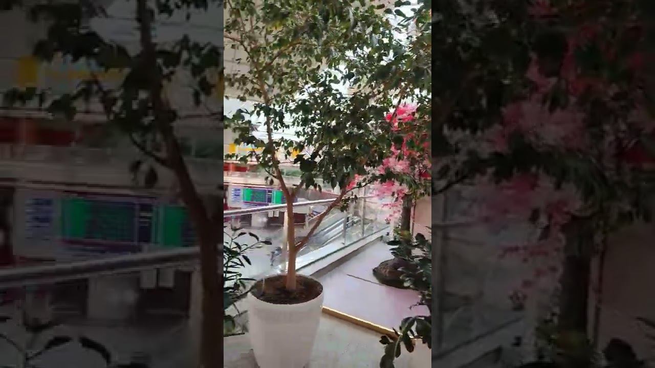 Я приехала в Минск к врачу смотреть онлайн