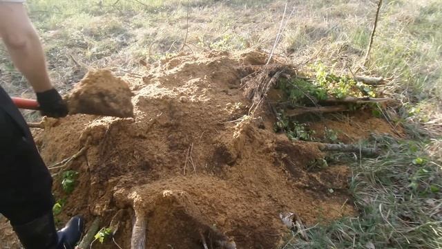 Примитивное укрытие землянка в лесу своими руками за 6 часов - build a dugout in the forest смотреть онлайн