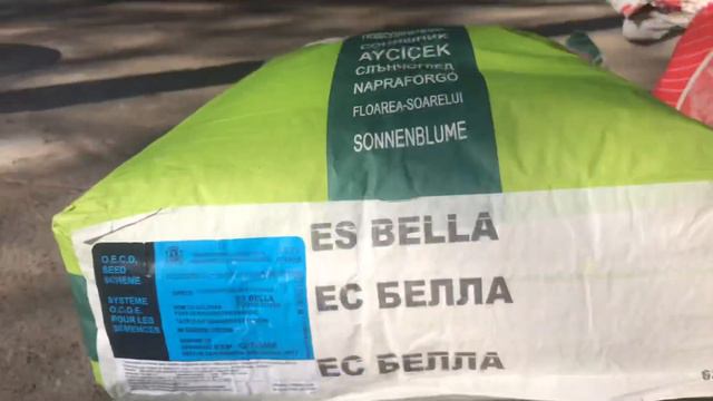 Семена подсолнечника EURALIS ES BELLA иLG558 ЛГ5582 обзор смотреть онлайн